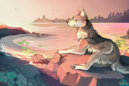 Last rays of summer